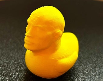 Duck with The Rock Head - Fun and Unique Novelty Gift