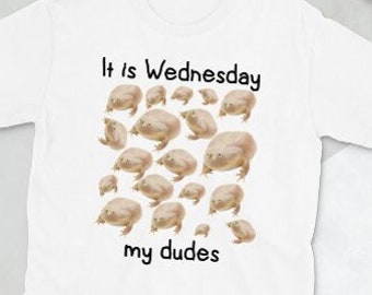 It's Wednesday my dudes, over frogged, Wednesday meme, Funny frog Unisex T-Shirt