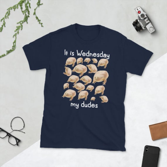 It Is Wednesday My Dudes Meme T Shirt It Is Wednesday My Dudes Meme T Shirt