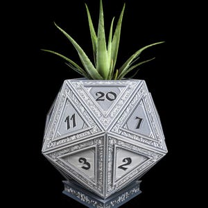 May include: A silver-colored, 20-sided die planter with an intricate design. A green succulent plant is growing inside the planter.