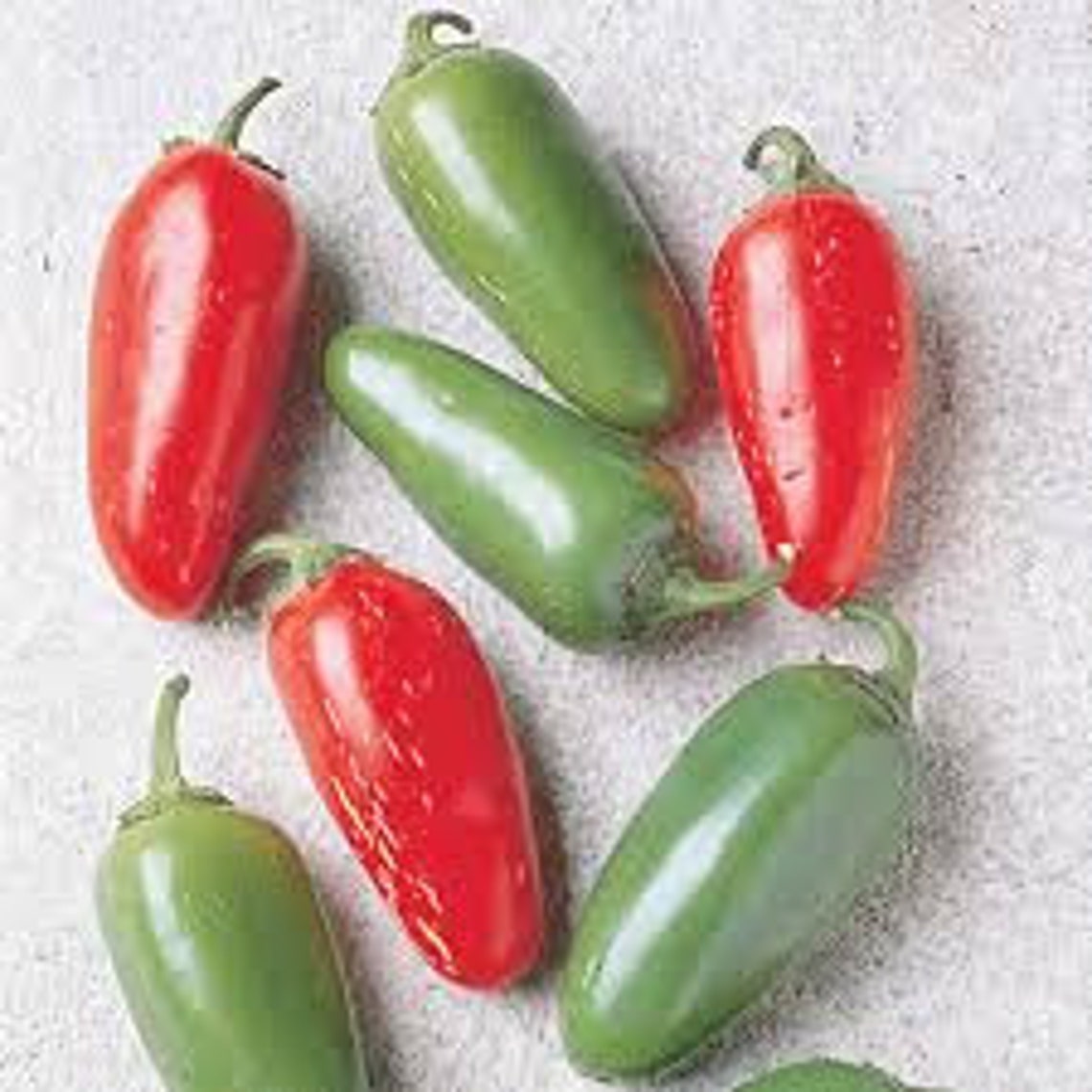 Early Jalapeno chipotle heirloom Pepper US non GMO seeds Etsy