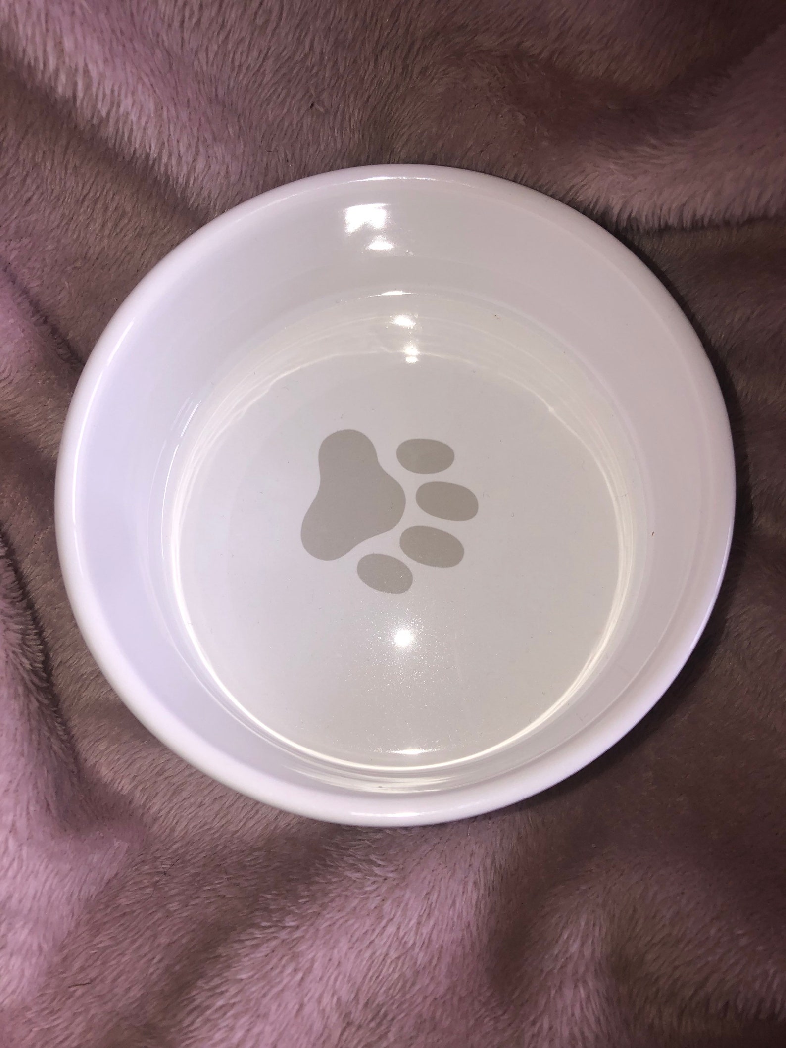 Paw print pet bowls. Black or Grey . Suitable for dogs cats Etsy