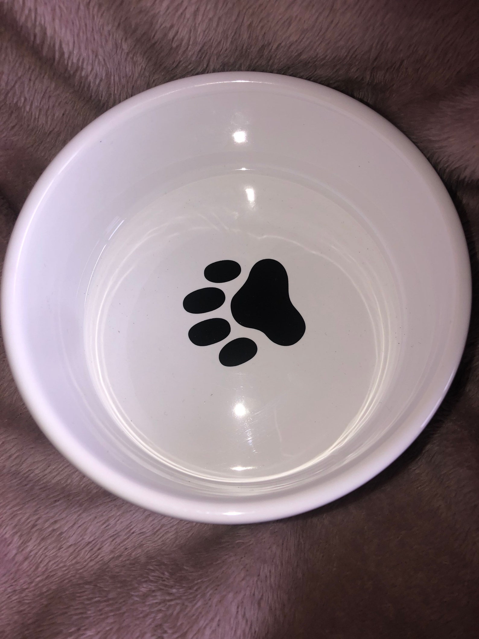 Paw print pet bowls. Black or Grey . Suitable for dogs cats Etsy