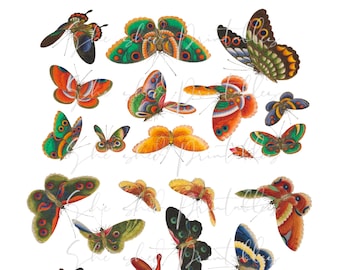 Vintage Butterfly and Insect Digital Download, Vintage, DIY Crafts, Clipart, Printable, Downloadable, JPG, PNG, Collage Sheet