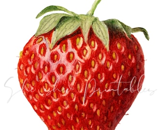 May include: A single, ripe red strawberry with a green stem and leaves. The strawberry is depicted in a watercolor style, with visible seeds and a slightly textured surface.