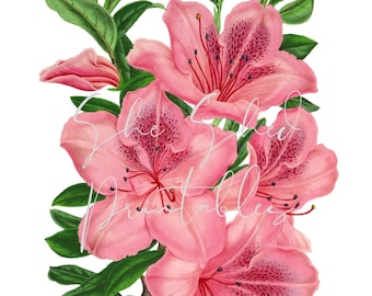 Vintage Lily Blossom Flowers Digital Download, Image, Vintage, Printable, Clipart, DIY Crafts, Flowering Plant, PNG, JPG Wall Art
