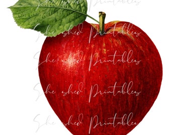 May include: A red apple with a green leaf on top. The apple is shiny and has a slight yellow tint.