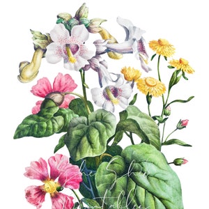 Flower Mix Bouquet Digital Download, Digital Image, Vintage, Printable, Clipart, DIY Crafts 1800&#39;s, PNG, JPG, Botanical, Floral