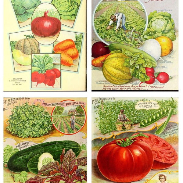Fruit and Vegetables Digital Paper Printable Vintage, DIY Crafts, JPG, Junk Journaling, Collage, Garden, Tomato, pea, carrots