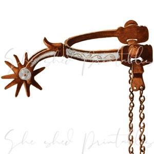 Puede incluir: Un espolón vaquero de cuero marrón con una banda plateada y una cadena. El espolón tiene una rueda en forma de estrella.