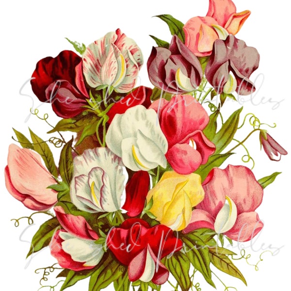 Flower Bouquet Digital Download, Image, Vintage, Clipart, DIY Crafts, PNG, JPG, Botanical, Garden Plant, Instant Download, Red Pink Flowers