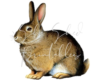 Easter Bunny Digital Image, Vintage, DIY Crafts, Clipart, Printable, JPG PNG Animal, Wall art, Illustration, Rabbit