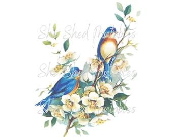 Blue Birds on branches with flowers clipart, Digital Download, Instant Download, Vintage, DIY Crafts, JPG, PNG, Wall Art, card making