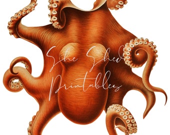 Octopus Illustratie, Digitale Afbeelding, Instant Download, Clipart, PNG, JPG, Zoölogie, Zeewezen, Zeeleven, Oceaan, Zee