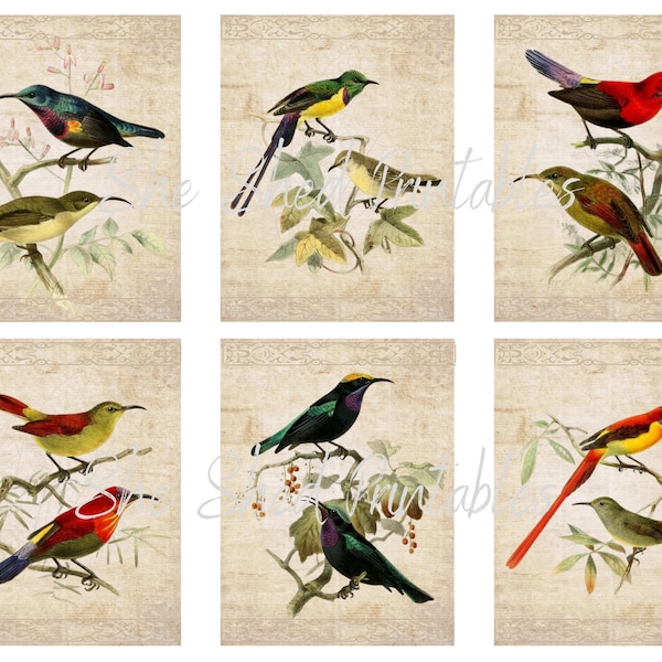 3x4 Cards - Etsy