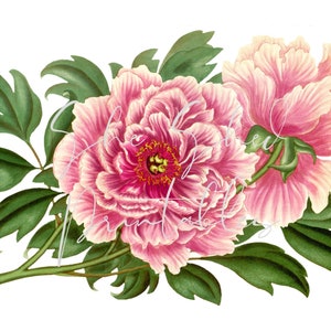 Vintage painting of Roses Digital Download, Image, Vintage, Printable, Clipart, DIY Crafts, Flowering Plant, PNG, JPG Wall Art, Nostalgic