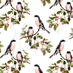 Vintage Bird pattern Digital Paper Printable Vintage, DIY Crafts, JPG, Junk Journaling, Collage, Botanical, Floral