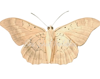 Handbemalter Schmetterling Download, Bild, Vintage, DIY Basteln, Schmetterling Clipart, Sofort Download JPG PNG, Wandkunst, Rustikal