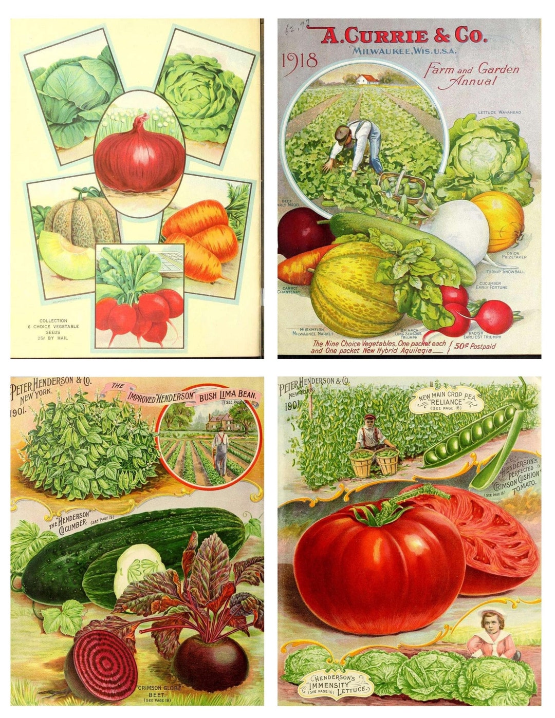 VINTAGE CALIFORNIA FREE FORM VEGETABLE