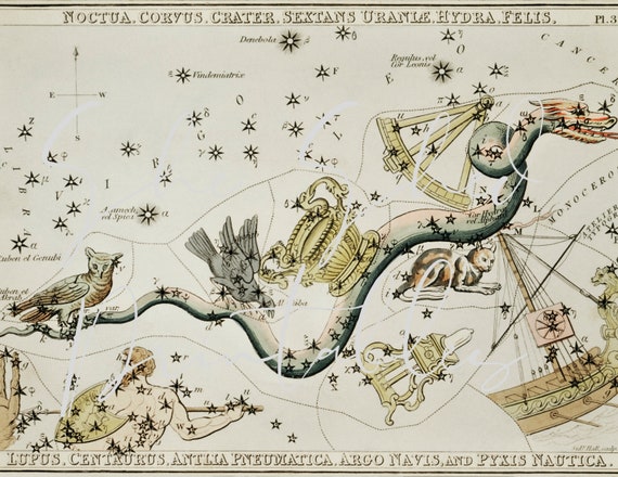 1800's Astronomical Chart Illustration Instant Download 1800's Astronomical Chart Illustration Instant Download