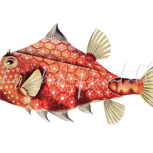 Fish Illustration Digital Download, Vintage, DIY Crafts, Clipart, Printable, Downloadable, JPG, Children&#39;s Wall Art, Sea, Ocean Fish