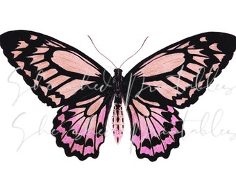 Hand bemalt Motte/Schmetterling digitaler Download, Bild, Vintage, DIY Handwerk, Clipart, Instant Download JPG PNG, Wandkunst, rosa