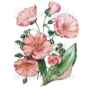 Puede incluir: Un ramo de flores rosas con hojas verdes. Las flores tienen un aspecto delicado, como de acuarela.