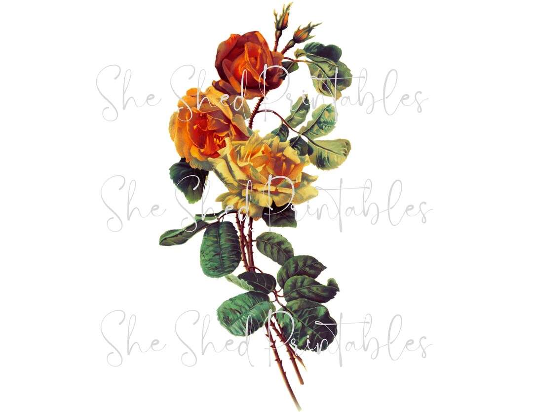 Rustic Roses Printable Roses Digital Download Printable Vintage DIY Crafts Flowe - Etsy