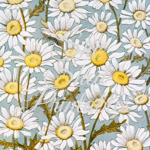1800&#39;s White Daisy with Blue Background pattern Digital Paper Printable Vintage, DIY Crafts, JPG, Junk Journaling, Collage