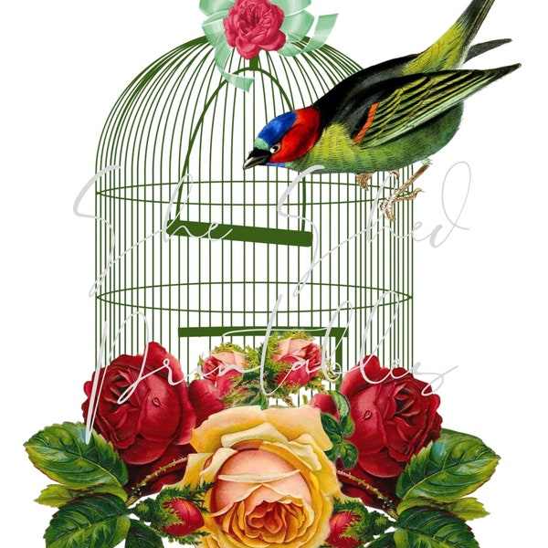 Vintage Birdcage with Roses Digital Download, Image, Vintage, Printable, Clipart, DIY Crafts, Flowering Plant, PNG, JPG Wall Art