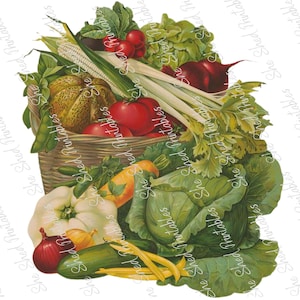 May include: A woven basket overflowing with a variety of fresh vegetables, including tomatoes, corn, onions, radishes, lettuce, and zucchini.