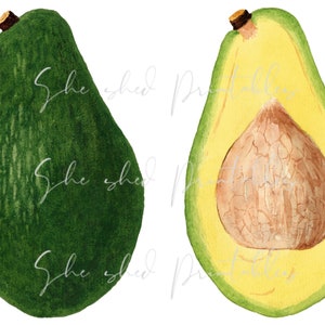 Avocado Illustration Digital Download, Image, Vintage, Clipart, DIY Crafts, Fruit Design, Food, Wall Art, Home Decor, Scrapbooking