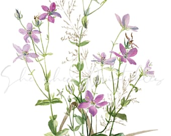Small Purple Flowers Digital Download, Image, Vintage, Clipart, DIY Crafts, Flowering Plant, PNG, JPG, Wall Art, Instant Download