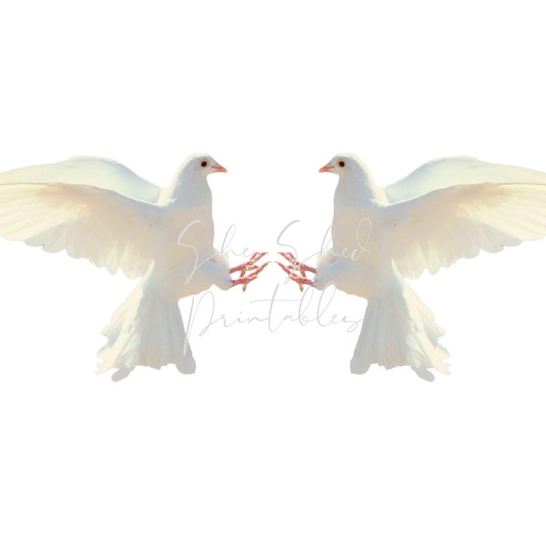 Two Doves Instant Digital Download, Vintage, Digital Image, DIY Crafts, Clipart, Printable, JPG, PNG Wall Art Love Bird, Wedding Clipart