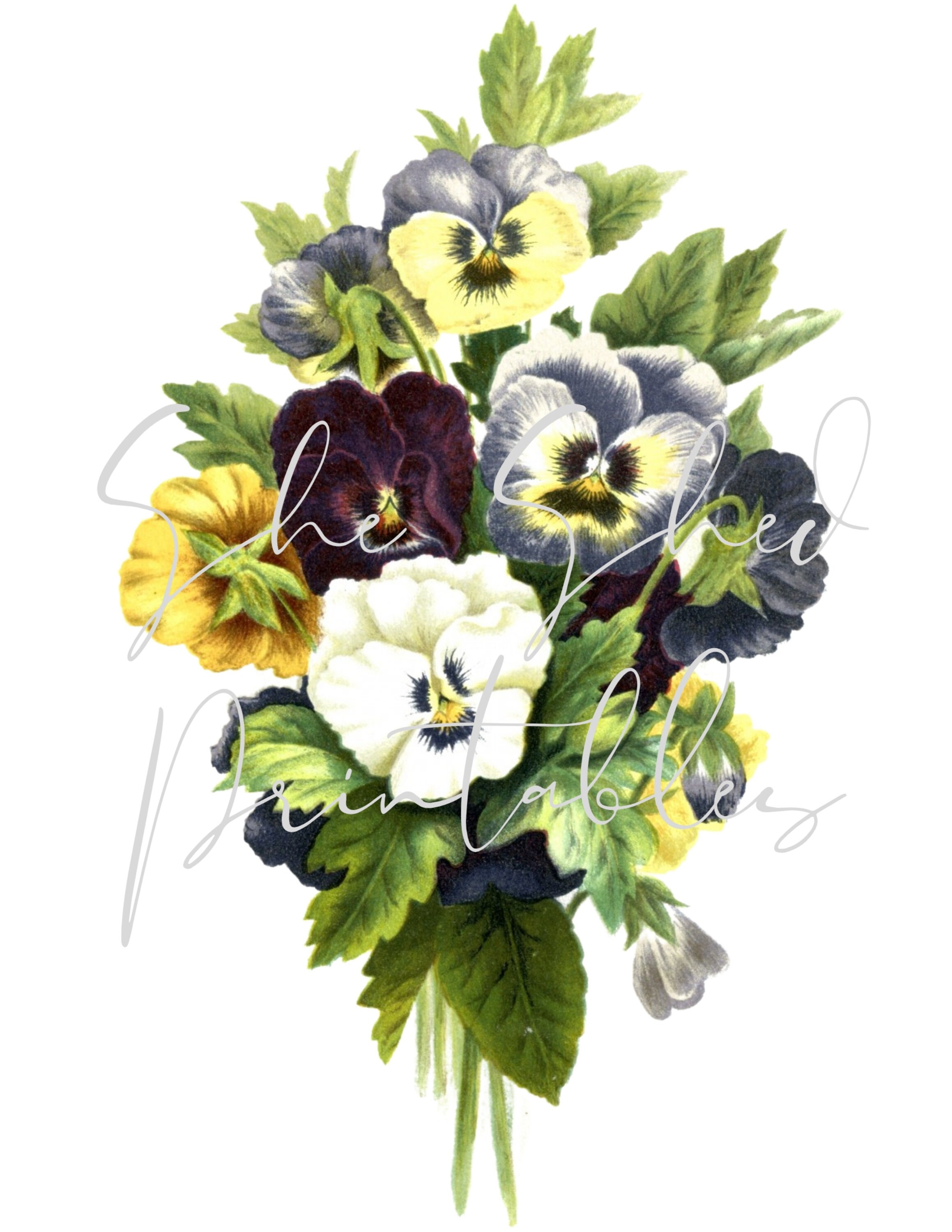 Vintage painting of Pansy Flowers Digital Download Image Etsy