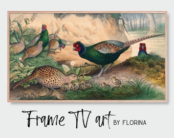 Samsung Frame TV Art -  Bird Artwork - Digital Download -  Ring-necked Pheasant Painting - Art for Samsung Frame TV