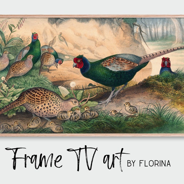 Samsung Frame TV Art -  Bird Artwork - Digital Download -  Ring-necked Pheasant Painting - Art for Samsung Frame TV