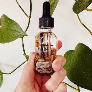 May include: A clear glass bottle with a black dropper top, filled with a clear liquid and small botanicals. The bottle is held in a hand, with green leaves in the background. The bottle contains small stones and dried flowers.