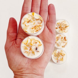 Peut inclure: Cinq petites bougies chauffe-plat blanches dans des contenants en plastique transparent. Les bougies sont remplies de cire blanche et contiennent de petits morceaux d'&eacute;corce d'orange s&eacute;ch&eacute;e incorpor&eacute;s &agrave; la cire.