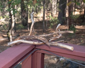 Old Manzanita Wood: 2 Pieces of Weathered Sticks 19-21 Inches