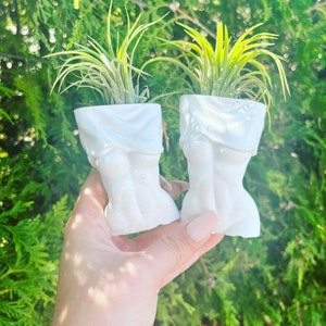 Peut inclure: Deux pots en céramique blanche en forme de torse humain, chacun contenant une plante aérienne verte.