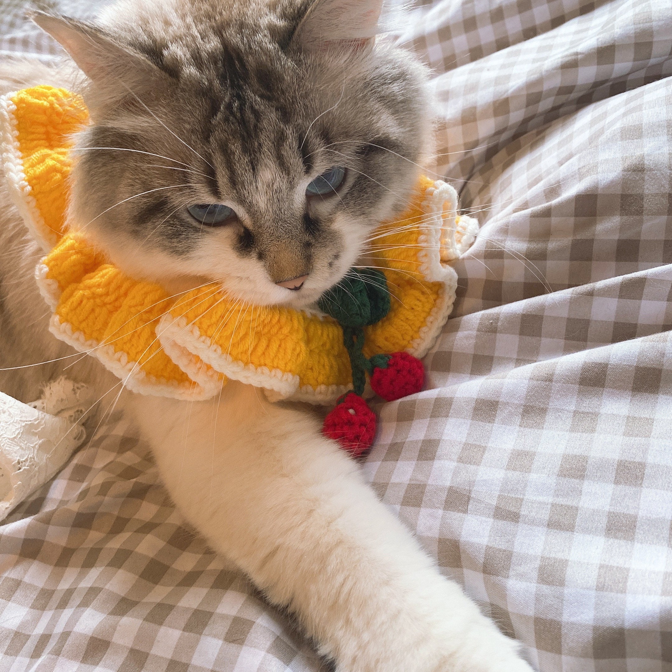 Crochet Pet Collar DIY Handmade Pet Accessories Pet Etsy