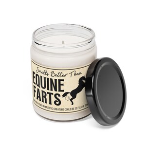 Paardeigenaar cadeau Ruitercadeaus Paardcadeaus Paardkaars Grappige paardeneigenaarcadeaus Cadeau voor paardeneigenaar Paardencadeaus Paard Kerstcadeau afbeelding 6