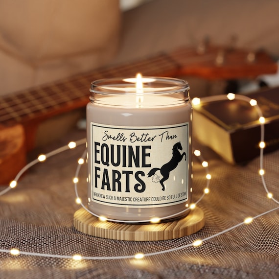 Horse Owner Gift Equestrian Gifts Horse Gifts Horse Candle Funny Horse Owner Gifts Gift for Horse Owner Equine Gifts Horse Christmas Gift