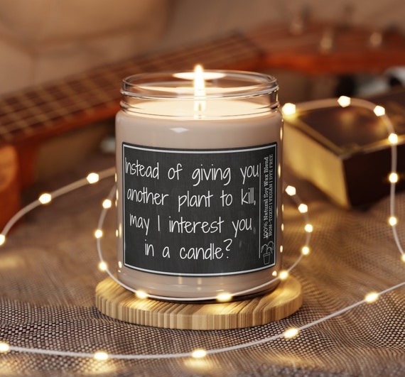 TOTE PFLANZENMUTTER, tote Pflanze, lustige Kerze, tote Pflanze, lustige Kerze, lustiges Geschenk für tote Pflanzen