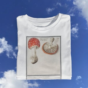 Vintage Mushroom T shirt / Old Mushroom T shirt / Retro Mushroom / Mushroom Drawing / Mushroom Painting