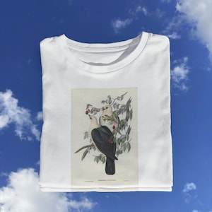 Pigeon Drawing T shirt / Pigeon Millot Animals / Old Bird t shirt / Retro Pigeon / Vintage Pigeon / Adolphe T shirt %100 Premium Cotton