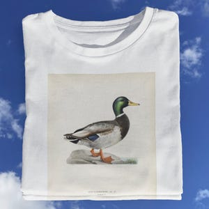 Mallard T shirt Duck Drawing T shirt / Duck Millot Animals / Old Duck t shirt / Retro Duck / Vintage Duck / Adolphe  %100 Premium Cotton