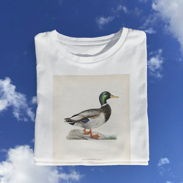 Mallard T shirt Duck Drawing T shirt / Duck Millot Animals / Old Duck t shirt / Retro Duck / Vintage Duck / Adolphe  %100 Premium Cotton