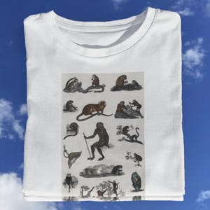 Monkey Drawing T shirt / Monkeys Millot Animals / Old Monkey t shirt / Retro Monkey / Vintage Monkey / Adolphe T shirt %100 Premium Cotton